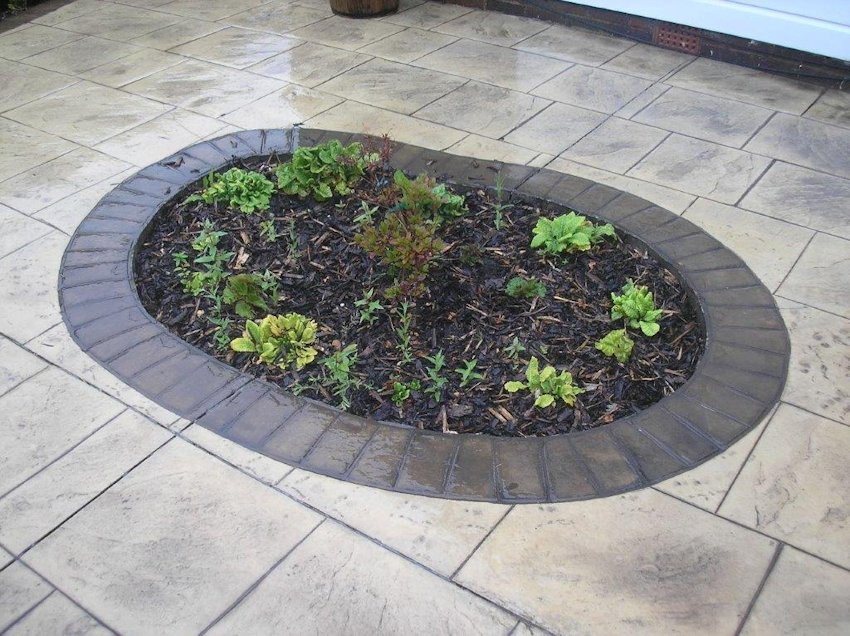 Driveway image 28